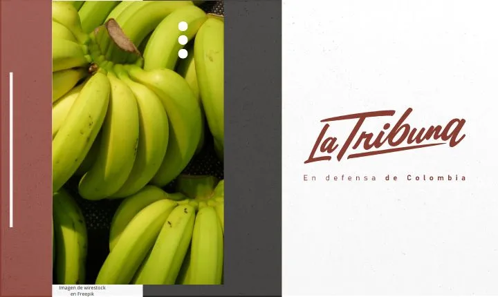 Bajos precios del banano y altas tarifas de energía asfixian a los productores nacionales