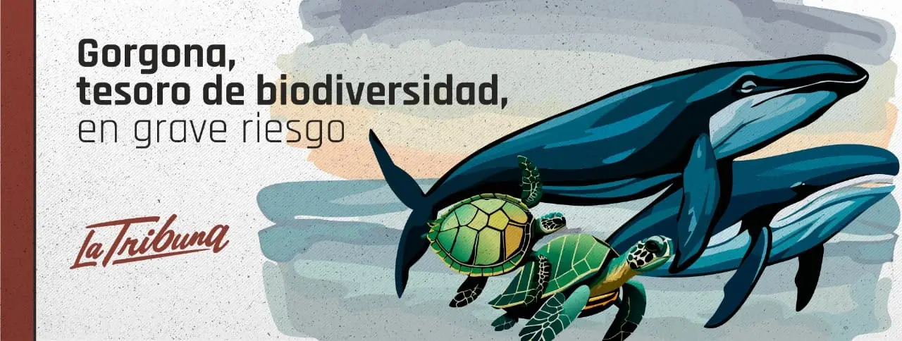 Gorgona, tesoro de biodiversidad, en grave riesgo