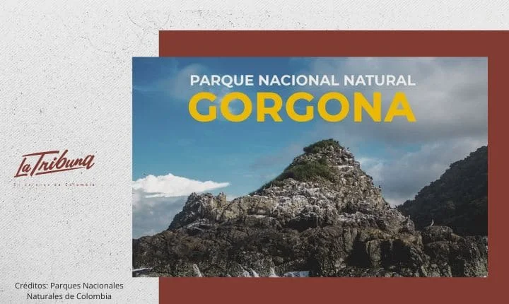 Gorgona un asunto de soberanía nacional