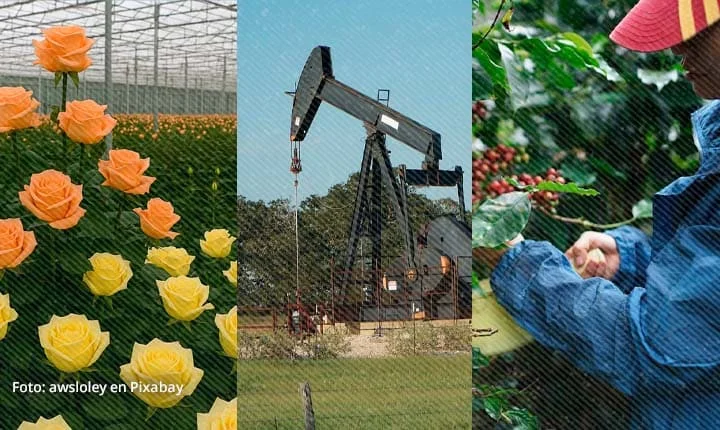 Exportaciones colombianas a EE. UU.: flores, petróleo y café como productos sin valor agregado.