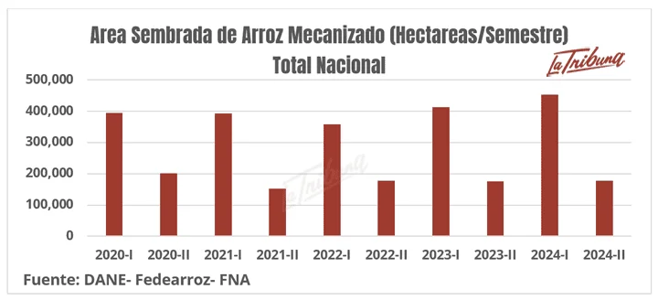 Gráfico de área sembrada de arroz mecanizado por semestre en Colombia entre 2020 y 2024. Fuente: DANE-Fedearroz. Imagen de La Tribuna.