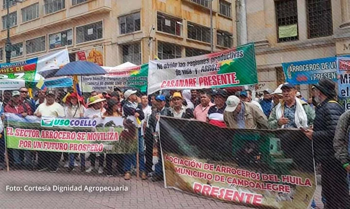 Protesta arrocera en Bogotá con pancartas de Casanare, Huila y Tolima