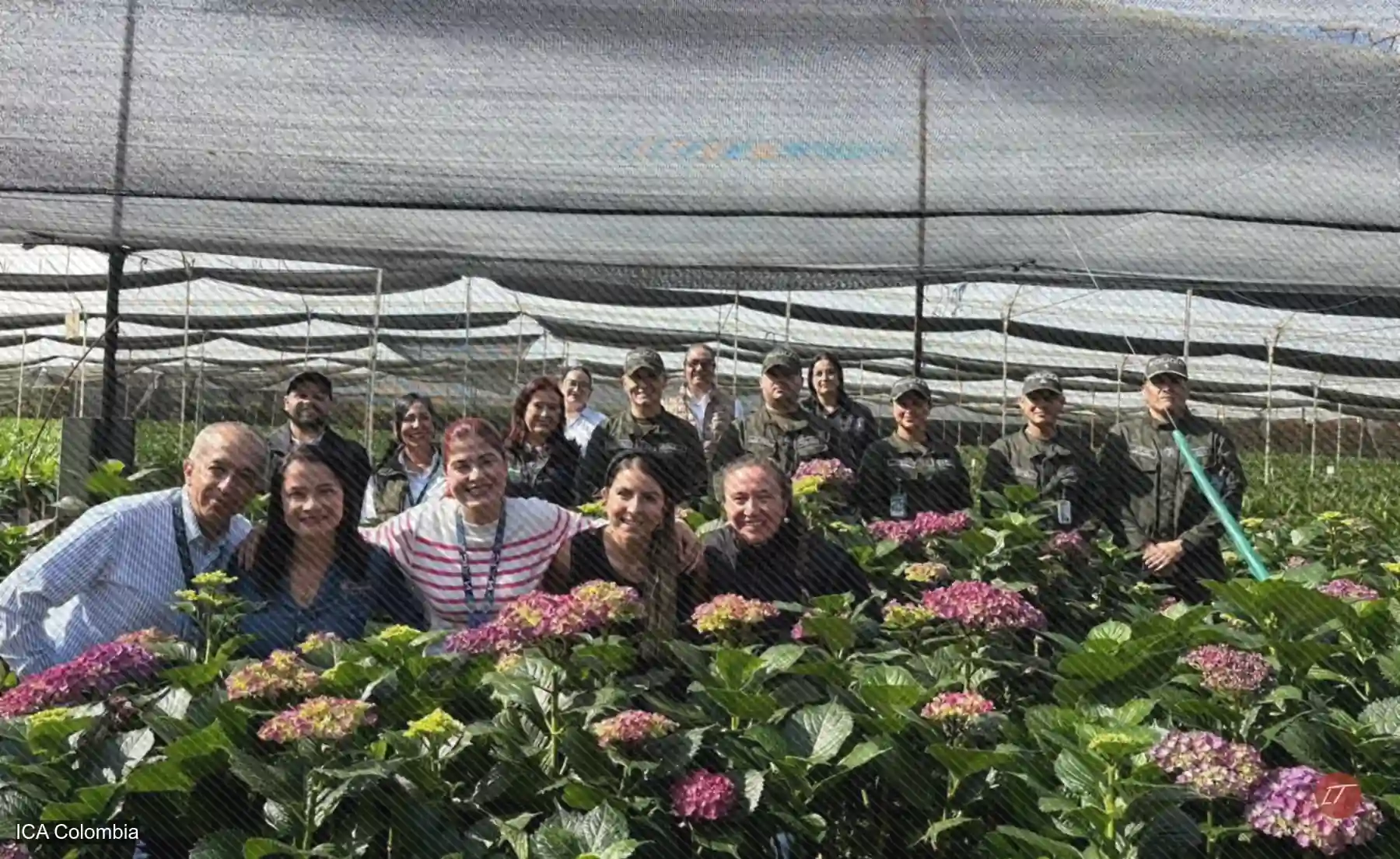 Imagen editorial con el presidente electo y una trabajadora de floricultura, usada para ilustrar la respuesta política al nuevo arancel de Trump sobre flores.