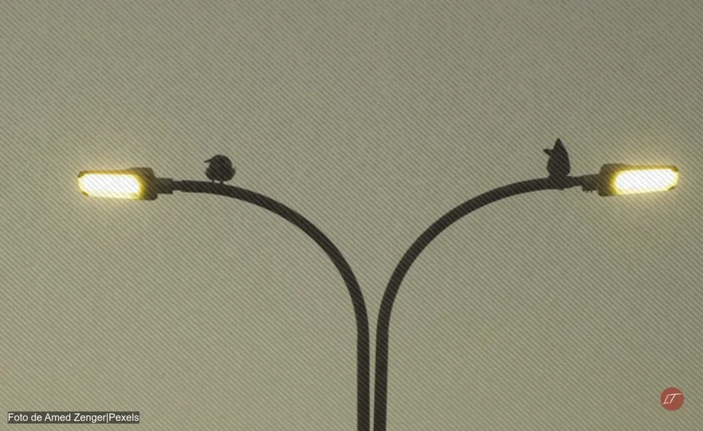 Dos luminarias antiguas encendidas sobre un poste doble, con aves posadas encima