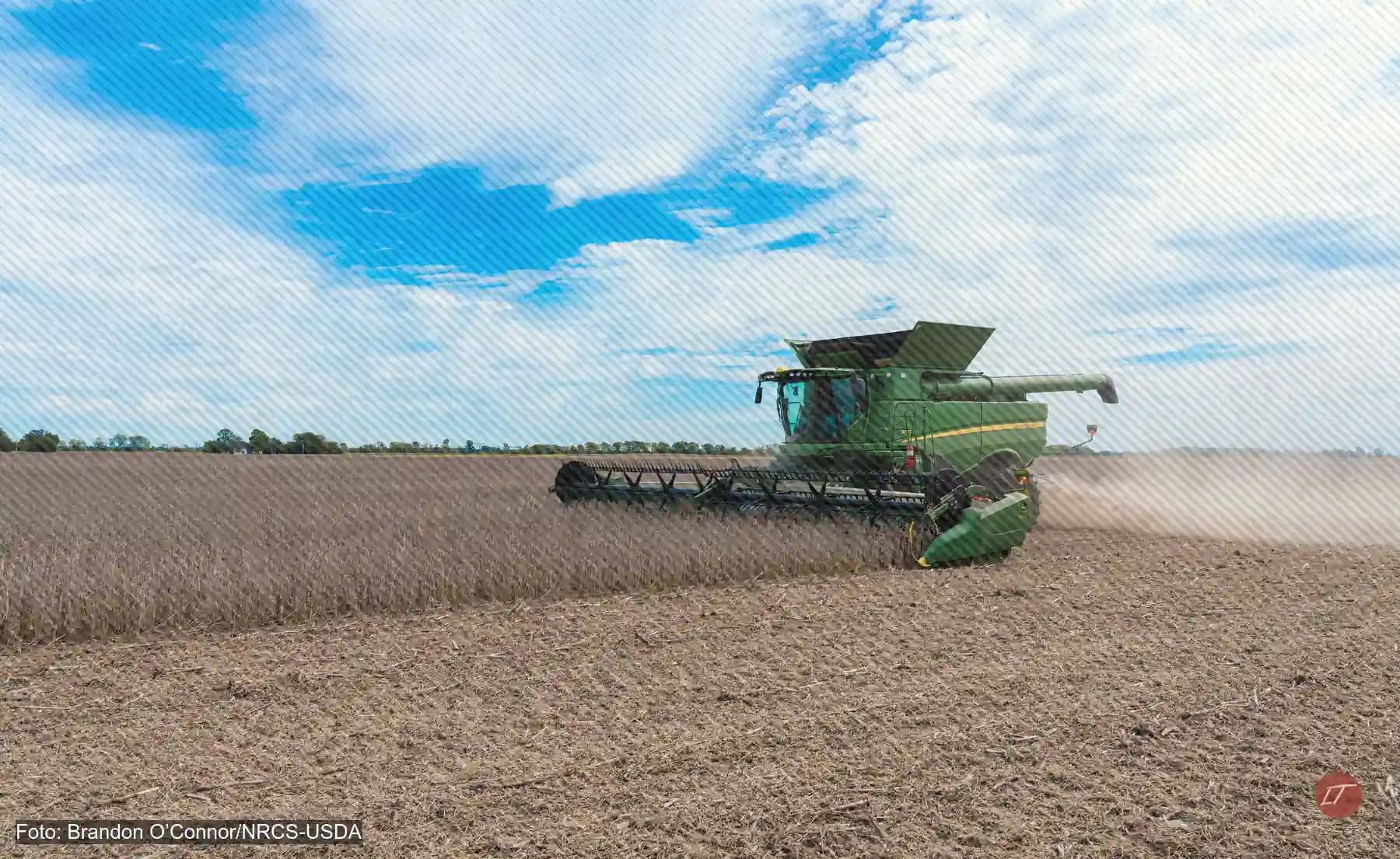 Cosechadora de Mike Starkey recoge soya en un campo de Brownsburg, Indiana, Estados Unidos