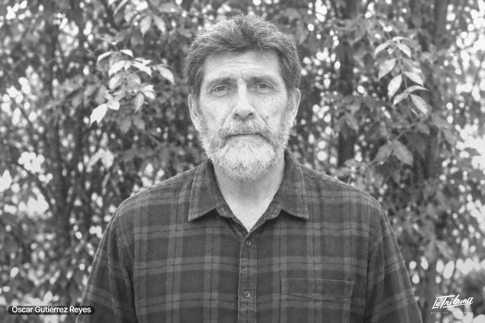Oscar Gutiérrez Reyes, director de Dignidad Agropecuaria Colombiana, posa con camisa a cuadros